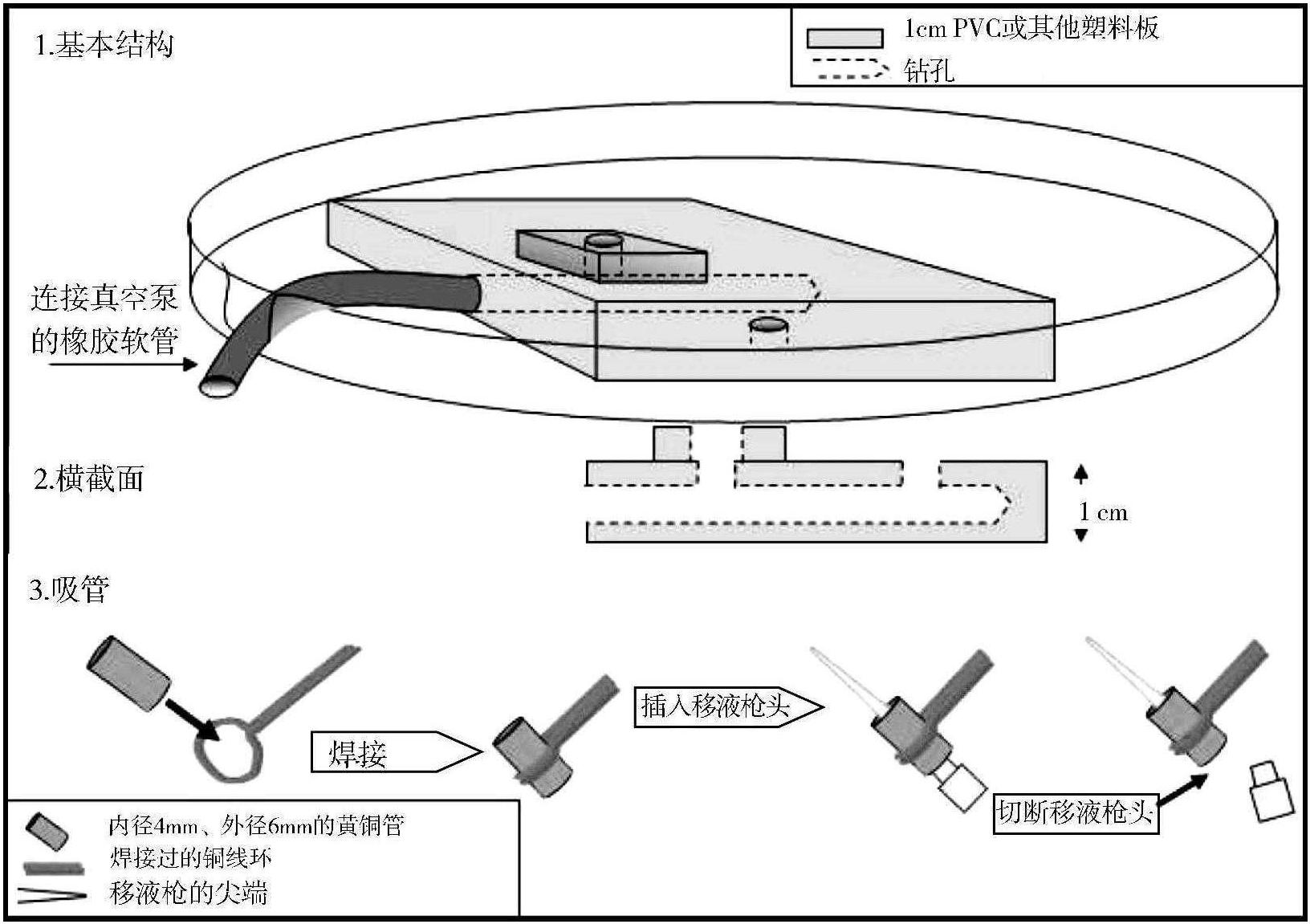 七、實驗昆蟲的固定與負吸裝置的設(shè)計